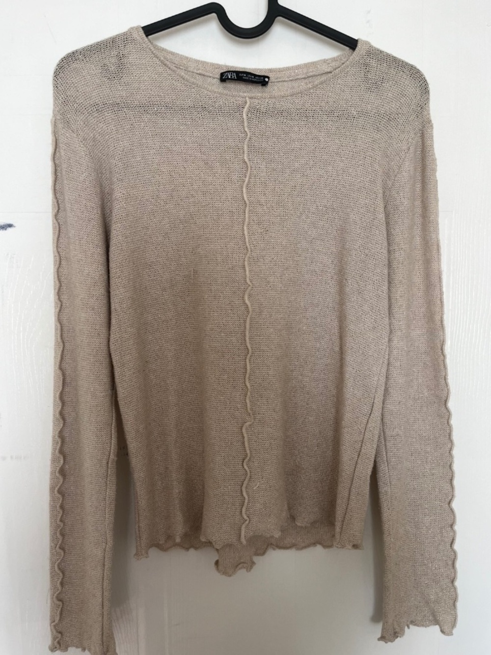 Zara Shiny Long Sleeve Top